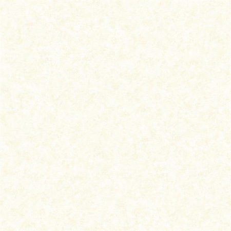 BAZZAR2-BA91131-135-PLAIN